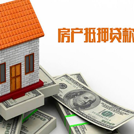 虎门港管委会贷款助贷公司新渝启服的政策